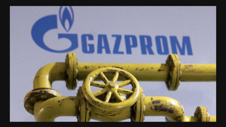 France does not face immediate risk of gas shortage-Pompili