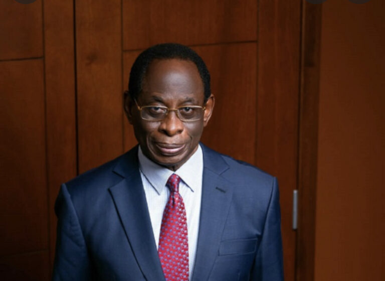 NPP will pay a big price for E-levy — Dr. Konadu Apraku