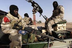 Mali: military operation in Sahel kills more than 200, says army