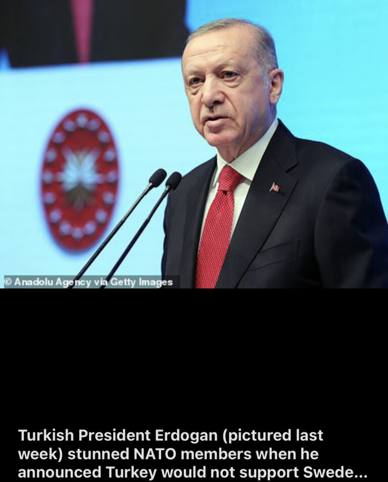Turkey’s Erdogan links Sweden NATO bid to return of ‘terrorists’