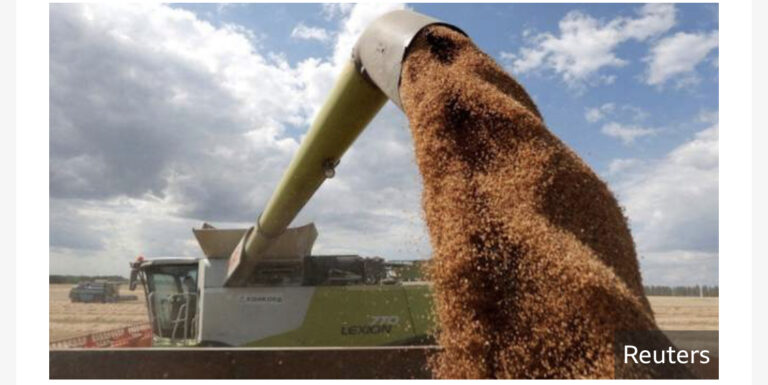 Russia is blocking export of 22m tons of grain, warns of famine- Zelenskiy