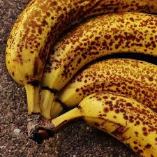 Secret to why bananas get brown spots REVEALED – as scientists investigate how to prevent them from ripening too quickly