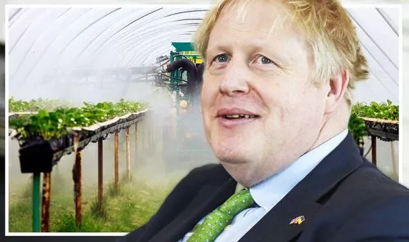 Britain set to ‘feed WORLD’ as new breakthrough to cripple Putin’s war plot