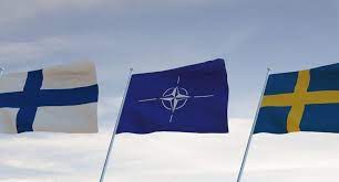 Finland’s NATO ratification could take a year