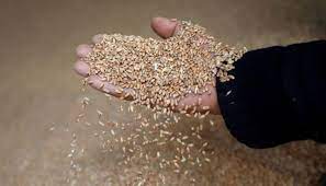 EU plan aims to help get wheat from Ukraine to the world