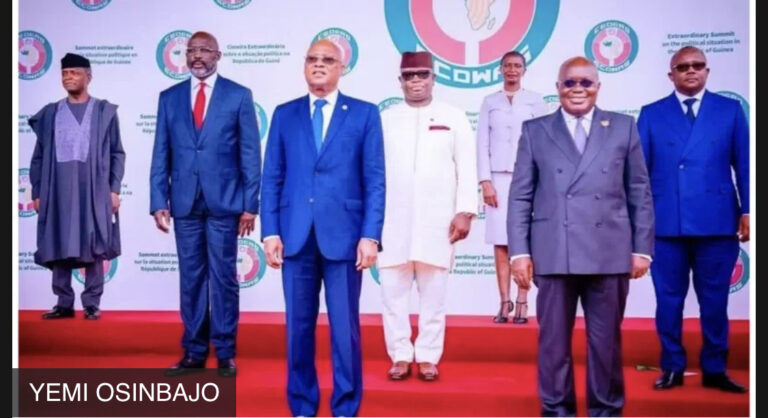 ECOWAS Leaders Worried · Over Transition Delays In Guinea, Mali, Burkina