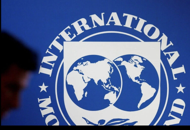 Government Allegedly Engages IMF For Bail Out