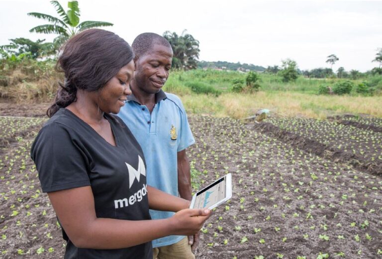 Chamber Of Telecommunications Calls For More Investment Into Technology To Improve Livelihoods