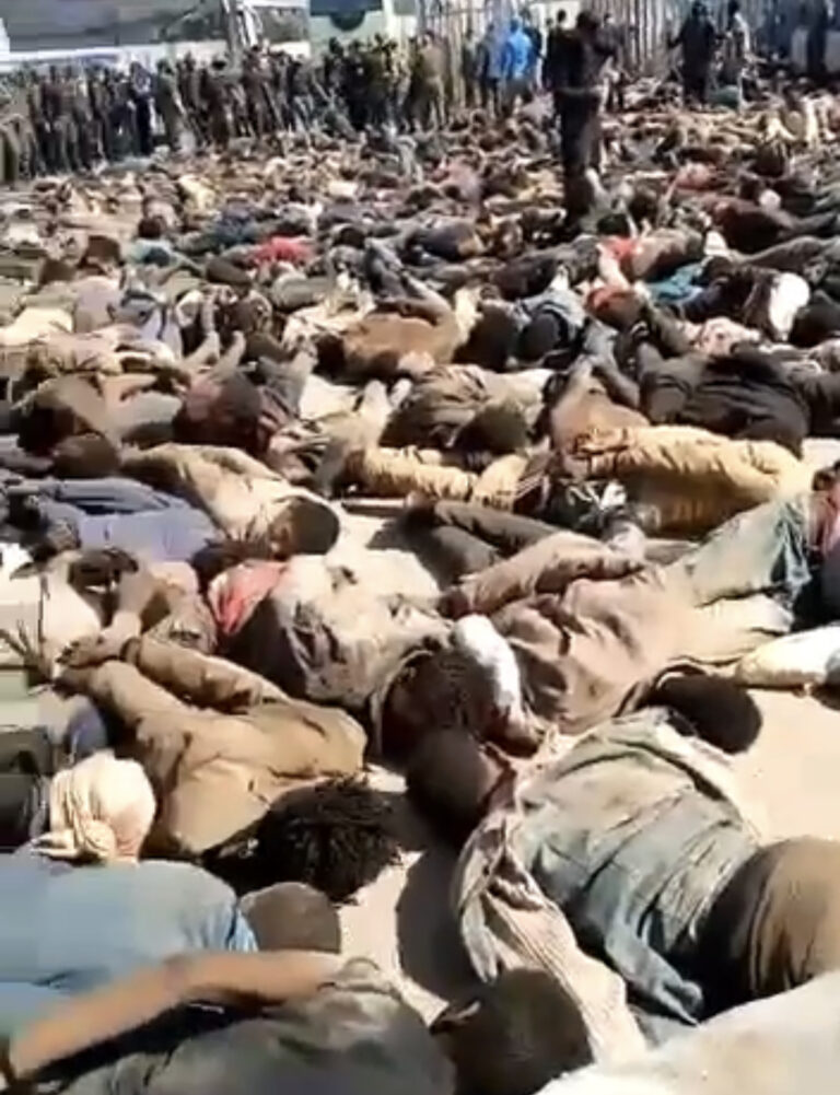 VIDEO: Morocco activists seek probe after 23 migrants die