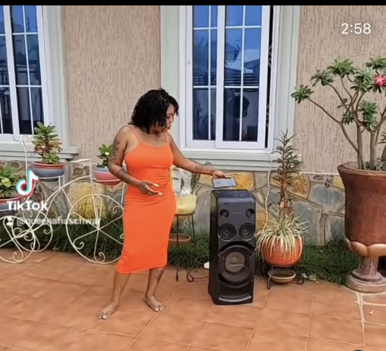 Antoa should kill me if I didn’t sleep with Chairman Wontumi; Afia Schwarzenegger curses