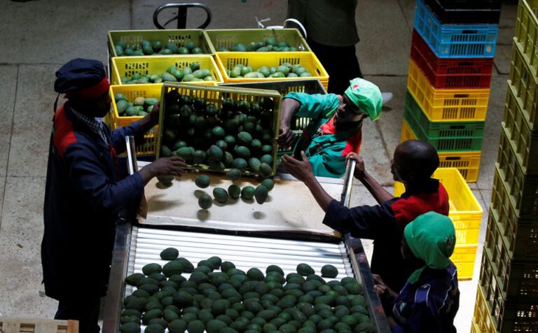 Africa’s dream of feeding China hits hard reality