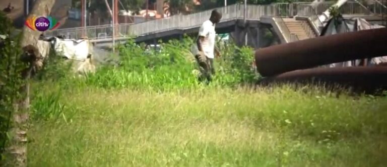 VIDEO: Overgrown weeds at Tetteh Quashie interchange used as cover for open defecation