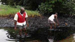Niger Delta Disaster disaster left families ‘eating, drinking, breathing the oil