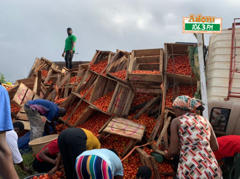 Tomato sellers reject Agric Minister’s price claims