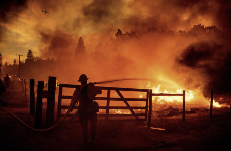 California Governor declares emergency over wildlife near Yosemite fire