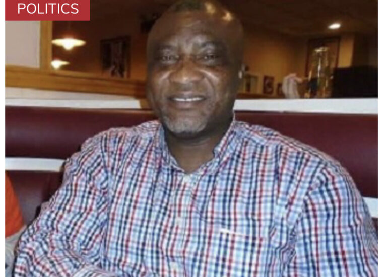 Hopeson Adorye Stokes Fire In NPP, Runs For Cover