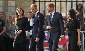 WIlliam,Harry and Wives re-united to greet well-wishers at Windsor Castle