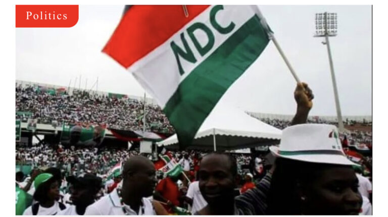 NDC elects national executives today