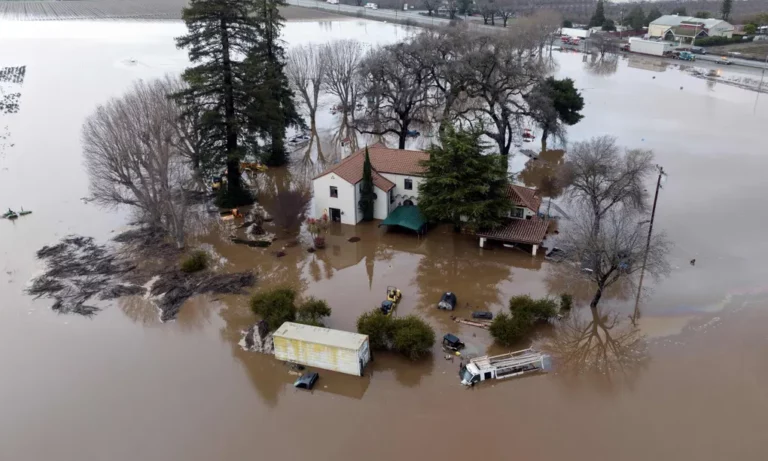 Up to 2,000 feared drowned after Libyan city hit by ‘catastrophic’ storm floods