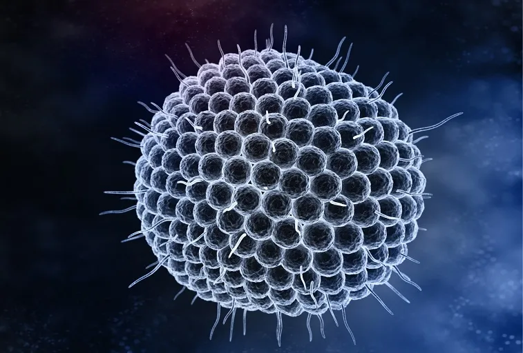 Countries with biggest Disease threats