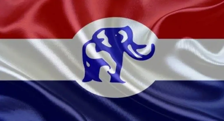 6 To Contest NPP Primary In Kumawu