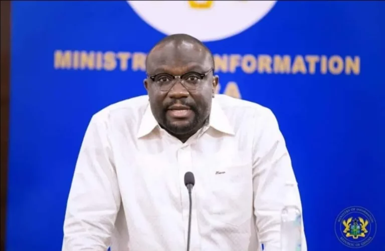 Buffer Stock CEO, Hanan Abdul-Wahab, To Contest Pusiga Parliamentary Seat