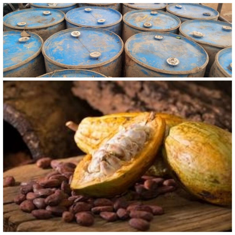 COCOBOD, Police Intercept Cocoa Concealed In 35 Oil Drums, One Arrested