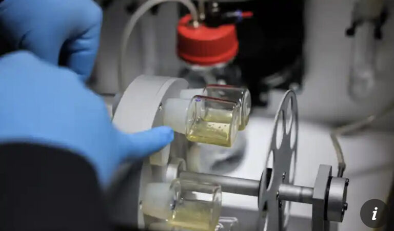 Synthetic human embryos created in groundbreaking advance