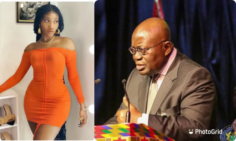 Wendy Shay Concerned About Excessive Import Duties; Urges Akufo-Addo To Take Action