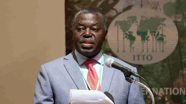 Lands Ministry Tasks Lands Commission To Get Rid Of ‘Goro Boys’