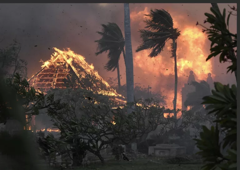 Hawaii fire: 53 died and many displaced
