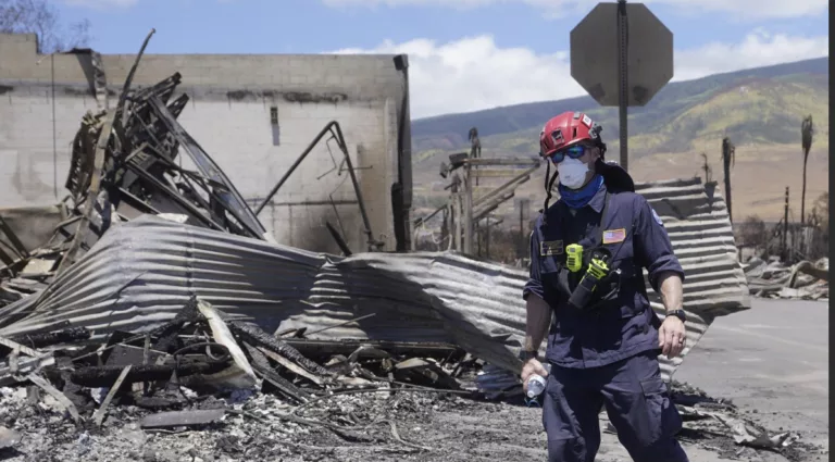 Hawaii Fire: Death toll reaches 89