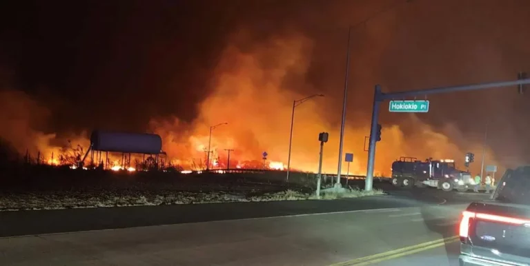 Hawaii fire: At least 36 people killed