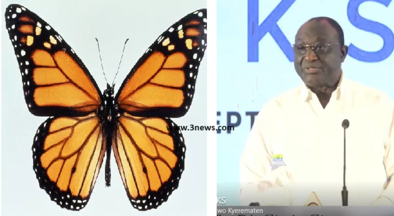 My Independent Candidature In 2024 Will Break NPP & NDC Duopoly – Alan Kyeremanten