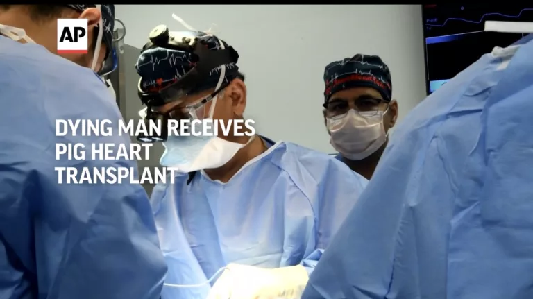 Surgeons perform pig heart transplant on man in Maryland
