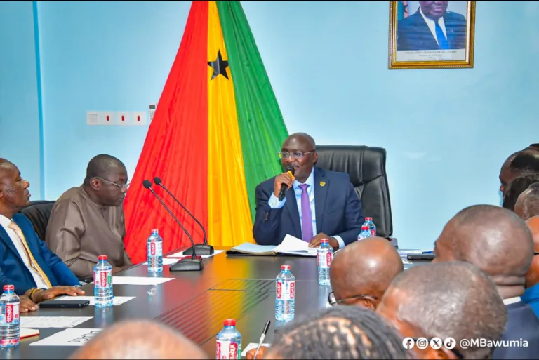 Digitalisation without jobs is an ‘expensive joke’ – Kofi Amoah to Bawumia