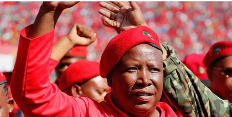 Ex-presidents must stay at home waiting for courtesy calls not fighting current presidents – Malema