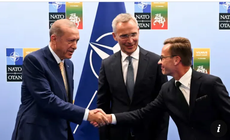 Turkish parliament approves Sweden’s membership of Nato
