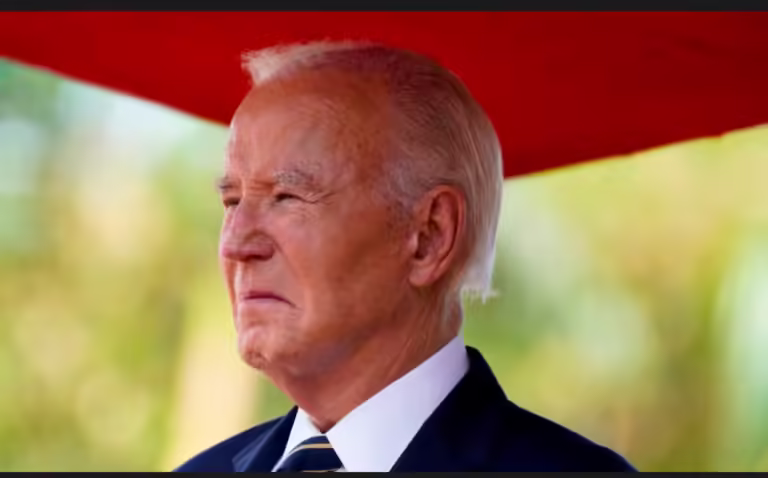 Top House Democrat calls on Biden to pardon ‘working-class Americans’