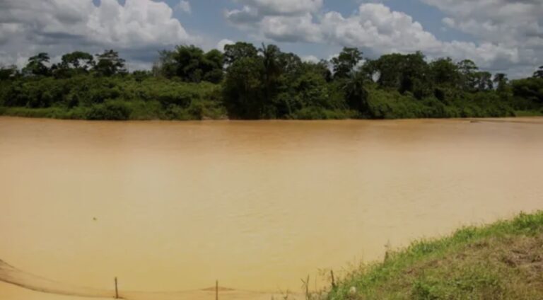 Galamsey Crisis Deepens: Call for State of Emergency as River Turbidity Hits Record Highs