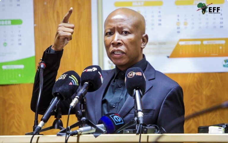 Malema Found Guilty on Gun Charges, Vows to Appeal