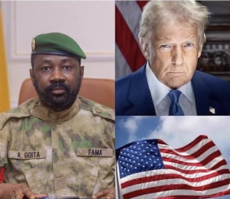 Mali to Require $10,000 Visa Bond from U.S. Citizens in Reciprocal Move