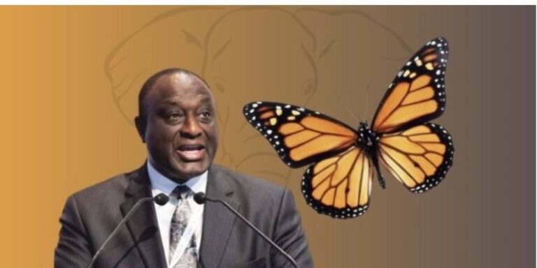 Alan’s Movement for Change now United Party