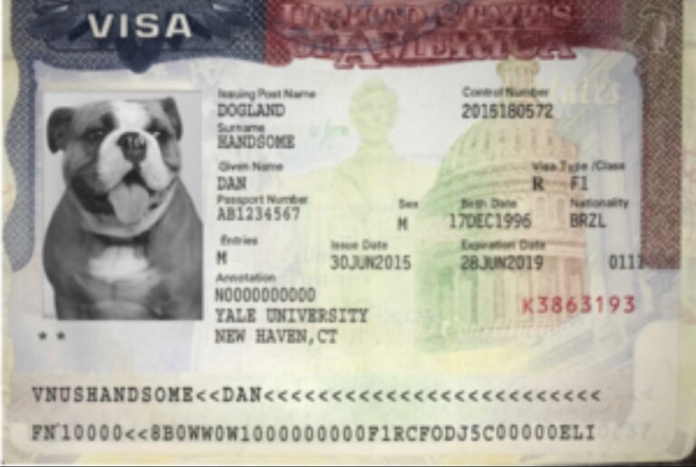 U.S. Expands $15,000 Visa Bond Pilot to 13 Countries, Effective January 2026