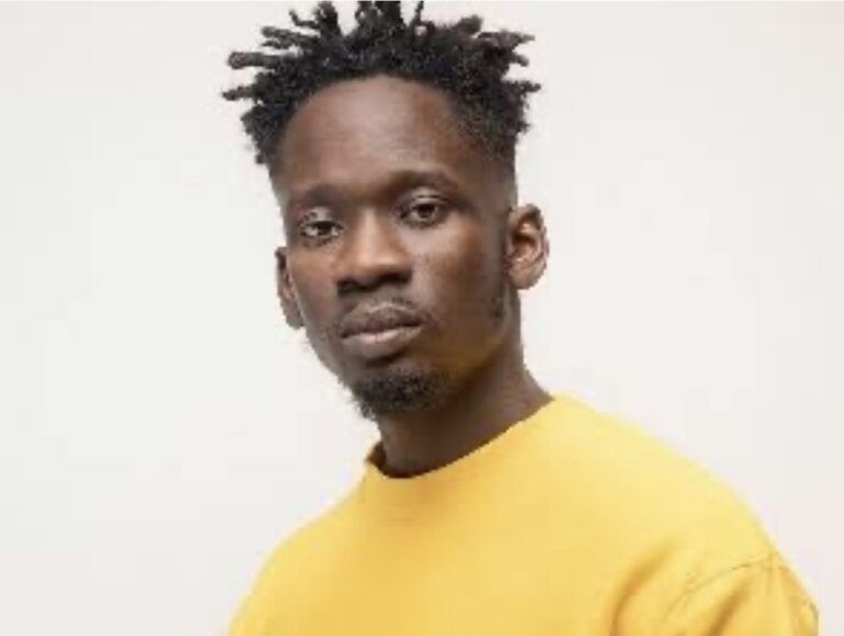 Mr. Eazi calls on GTA to back $2m project