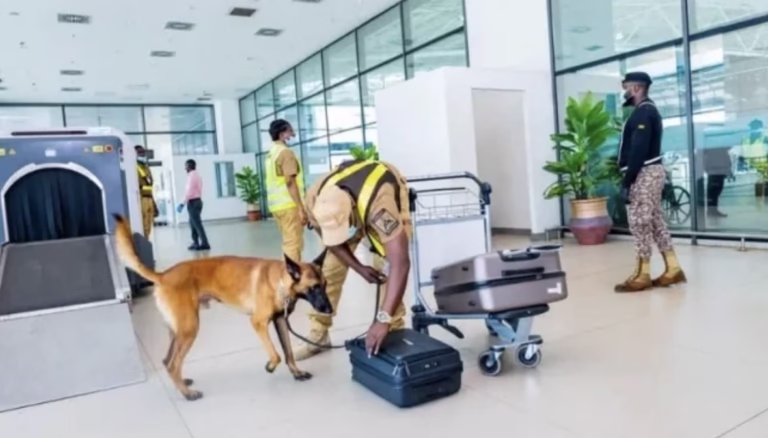 NACOC intercepts cocaine hidden in gari at Kotoka Airport