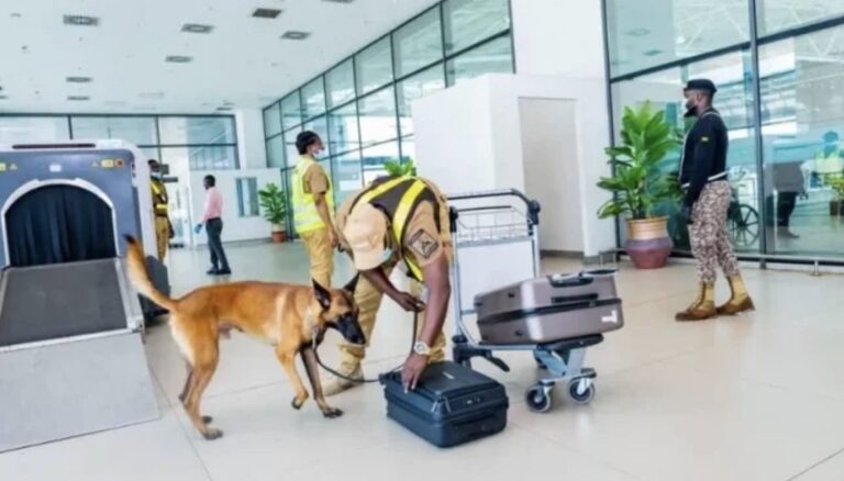 NACOC intercepts cocaine hidden in gari at Kotoka Airport