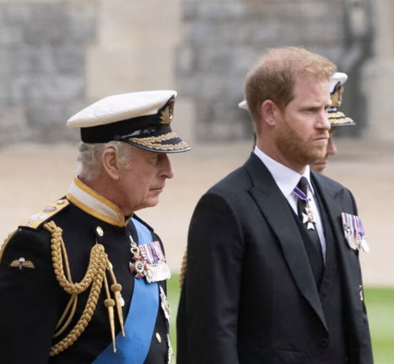 King Charles Does Not Meet Prince Harry During U.S. Visit