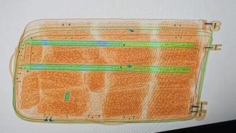 Cannabis worth over €515k seized at Dublin Airport