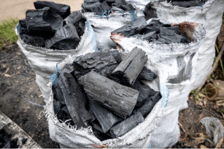 Charcoal Becomes Ghana’s Biggest Inflation Driver as Prices Surge by 50% – Government Statistician